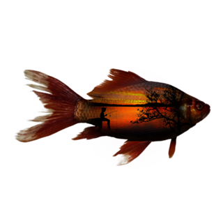 Camiseta Peixe e Pescaria Reversa