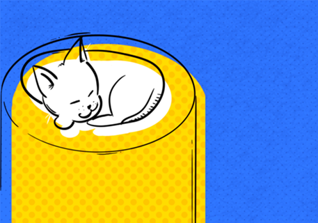 Soninho do Gato