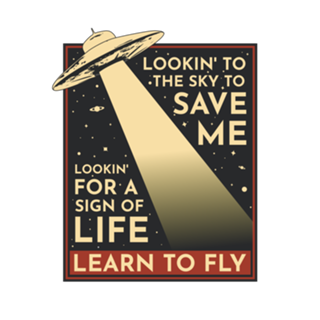 Learn to fly