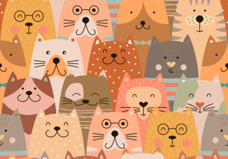 MAIS GATOS