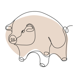 Pig Floyd