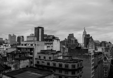 A Selva #02