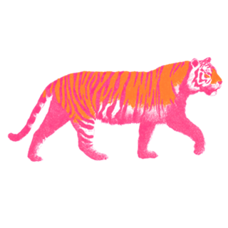 Tigre de Boas