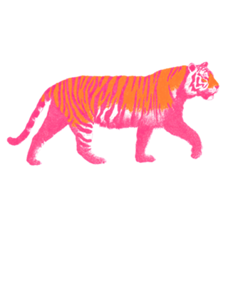 Tigre de Boas