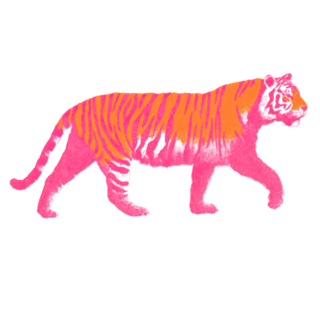 Tigre de Boas