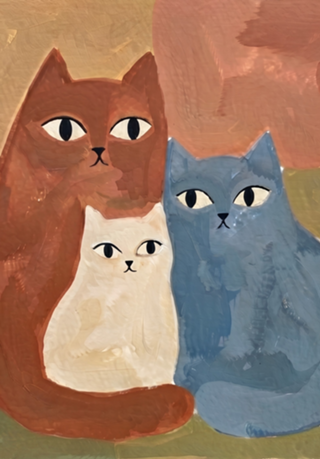 Gatos Gatinhos