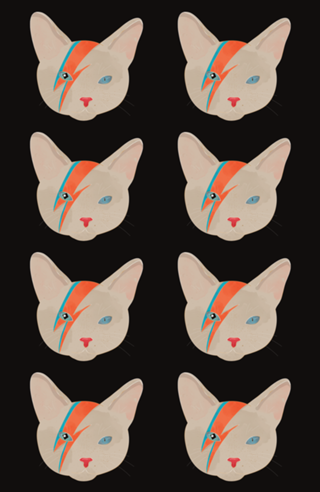 Cat Bowie