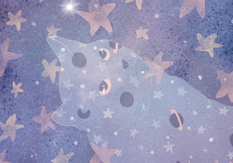 Gato Estrelado