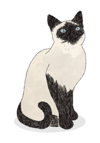 Gato Siamês