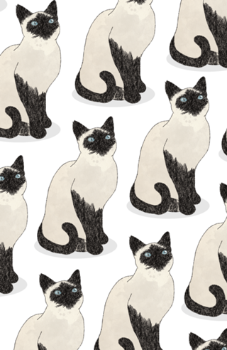 Gato Siamês