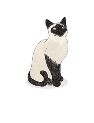 Gato Siamês