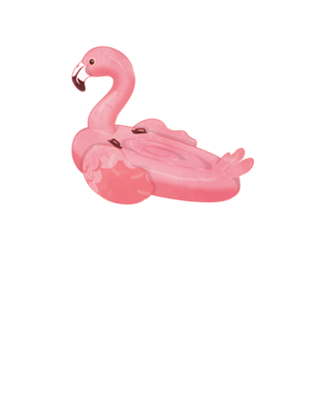 Flamingo flutuante