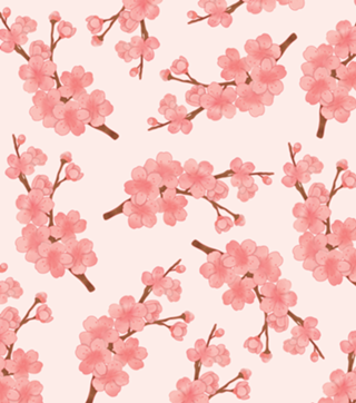 Galho de sakura