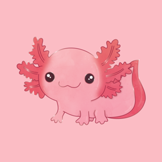 Axolote