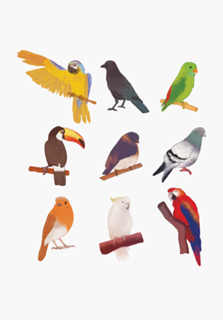 Aves