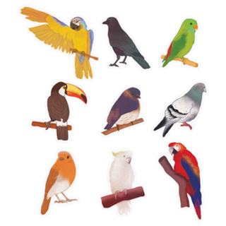 Aves