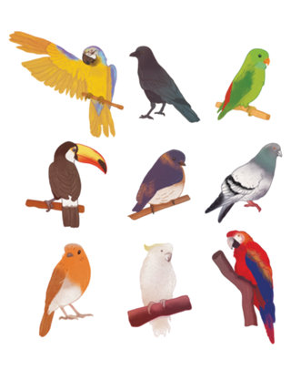 Aves