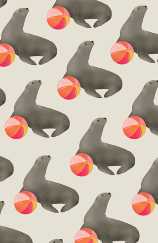 Foca