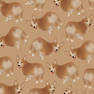 Corgi