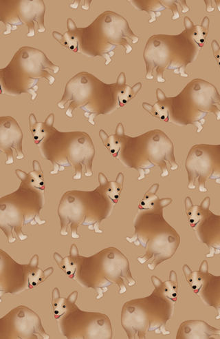 Corgi