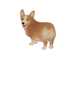 Corgi