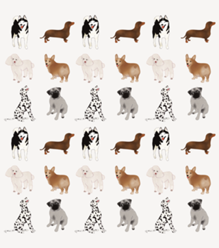 Cães