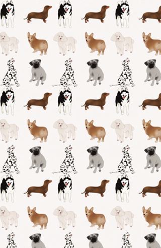 Cães