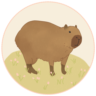 Capivara 1