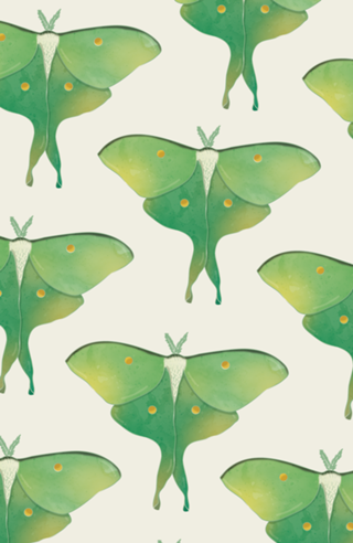 Mariposa-lua #2