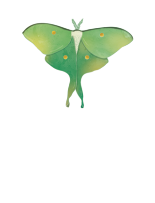 Mariposa-lua #2