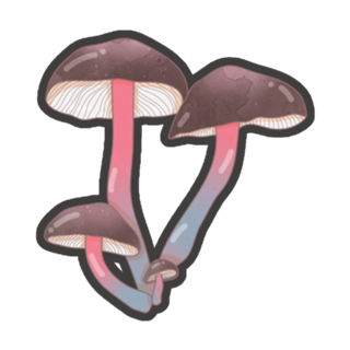 Cogumelos