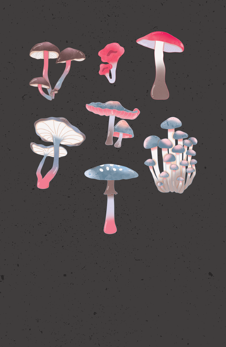 Cogumelos