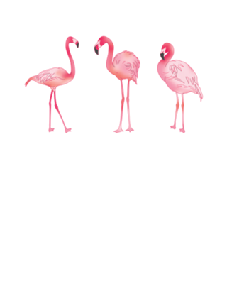 Flamingos