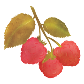 Framboesa
