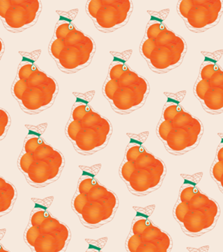 Saco de laranja