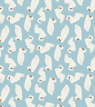 Cisnes