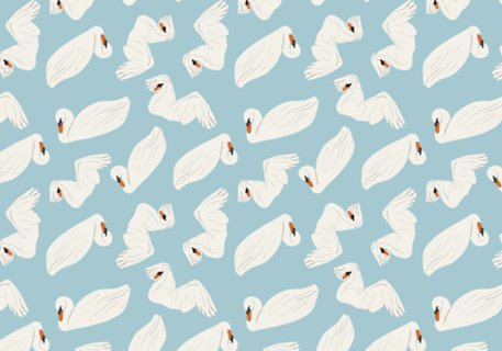 Cisnes