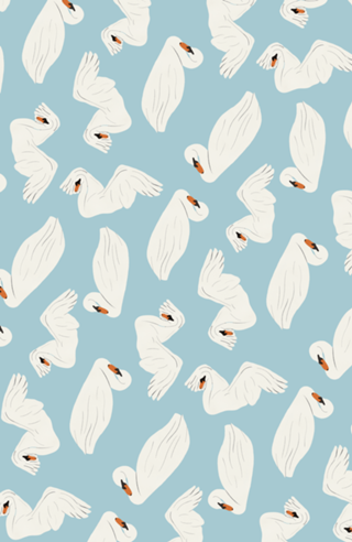 Cisnes