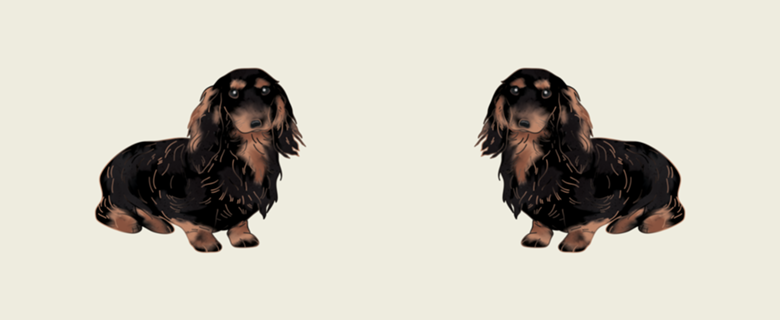 Dachshund #2 (salsicha)