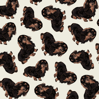 Dachshund #2 (salsicha)