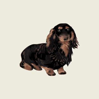 Dachshund #2 (salsicha)