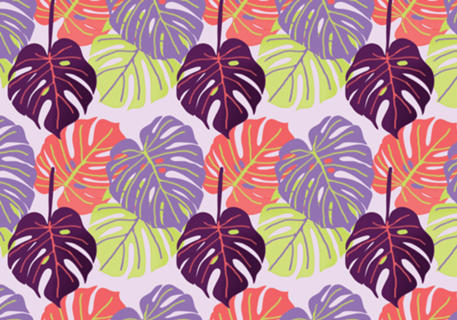 Monstera cores