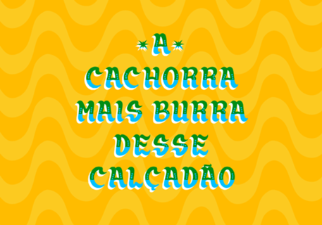 A cachorra mais burra desse calçadão