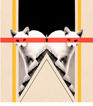 Gatos Russos 1