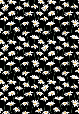 Margaridas
