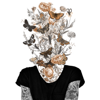 Metamorphosis