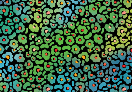 Onça Floral Color