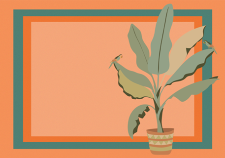 Bananeira