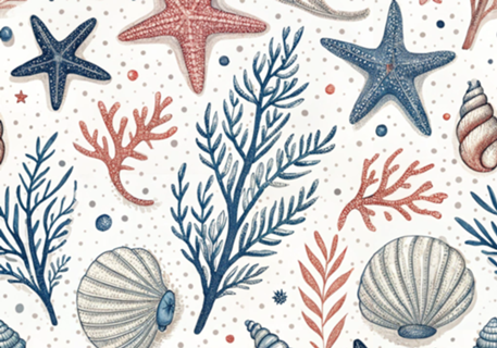 Conchas e Estrelas-do-Mar