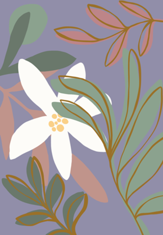 Flor e folha
